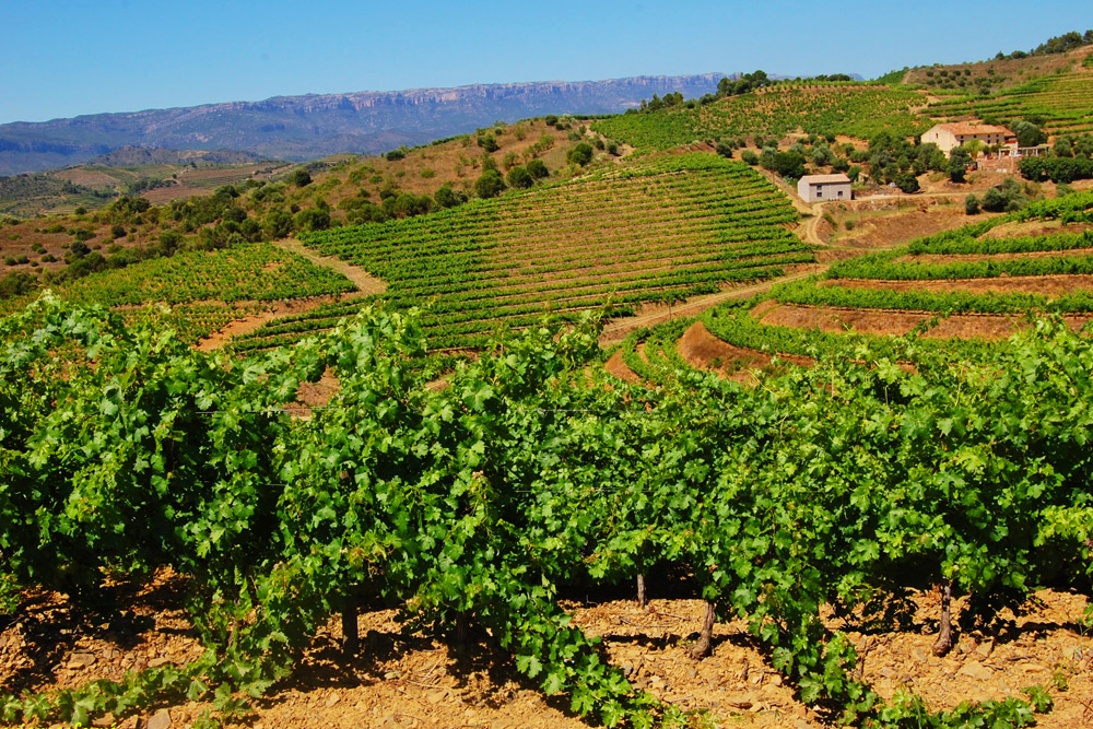 Vacances al Priorat, a Porrera en un dels entorns vitivinícola amb més prestigi de Catalunya